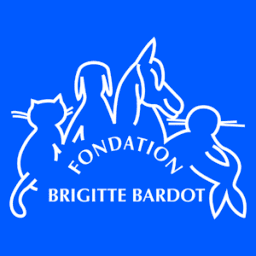 Bardot