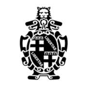 Bolo